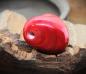 Preview: Glasherz rot