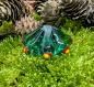 Preview: Amulettperle Waldglas