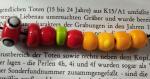 Kette Liebenau 4. - 9. Jahrhundert